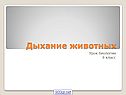 Дыхание животных