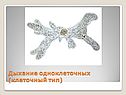 Дыхание одноклеточных (клеточный тип)