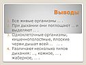 Выводы