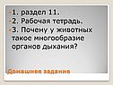1. раздел 11