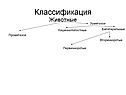Классификация