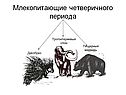 Процесс эволюции животных