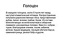Климатический оптимум