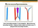 Пути видообразования