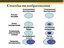 Способы видообразования
