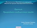 Природное сообщество пруда