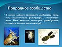 Природное сообщество