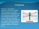 Стрекоза