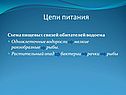 Цепи питания