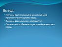 Вывод