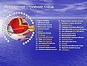 Внутреннее строение глаза