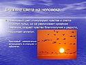 Влияние цвета на человека