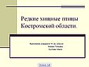 Редкие хищные птицы Костромской области