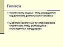 Гипотеза