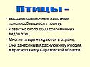 Птицы