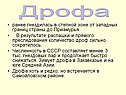 Количество дроф сильно сократилось