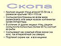 Крупная хищная птица