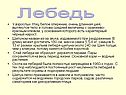 У взрослых птиц белое оперение