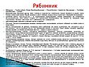 Рябинник