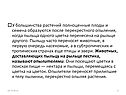 Полноценные плоды и семена