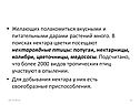 Нектароядные птицы