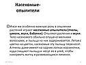 Насекомые-опылители