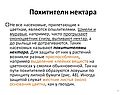 Похитители нектара