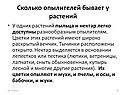 Сколько опылителей бывает у растений