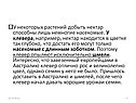 Немногие насекомые