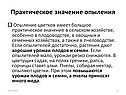 Практическое значение опыления