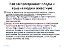 Как распространяют плоды и семена