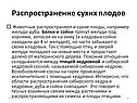 Распространение сухих плодов