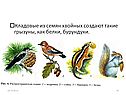Распространение растений