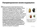 Распространение семян муравьями