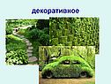 Декоративное