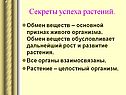 Секреты успеха растений