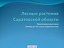 Лесные растения Саратовской области