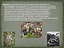 Заразиха , род многолетних или однолетних травянистых бесхлорофилльных