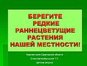 Берегите редкие раннецветущие растения нашей местности