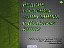 Редкие растения занесенные в Красную книгу