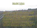 Выводы