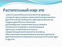 Растительный мир
