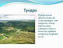 Тундра