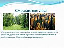 Смешанные леса