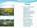 Степь