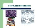 Использование кармина
