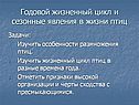 Сезонные явления в жизни птиц