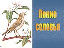 Пение соловья