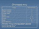 Откладка яиц