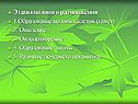 Этапы полового размножения